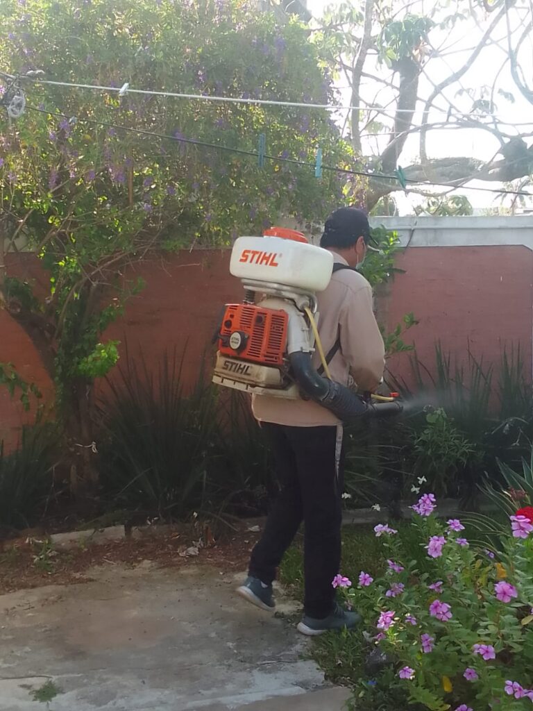 Formosa mantiene un escenario favorable frente al dengue, pero refuerza el llamado a no bajar la guardia