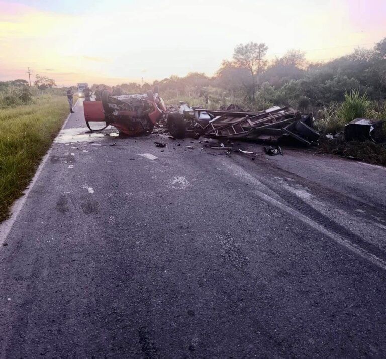 Tragedia: una mujer perdió la vida en un fuerte choque sobre la RN 86