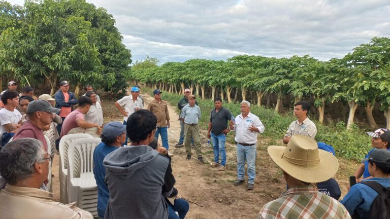 Los CEDEVA proyectan un año de fuerte trabajo territorial con productores y comunidades