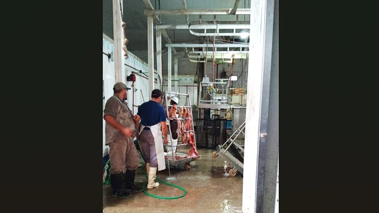 Emergencia en el Sector Cárnico de Gran Guardia: Un Año de Desidia y Riesgo Sanitario