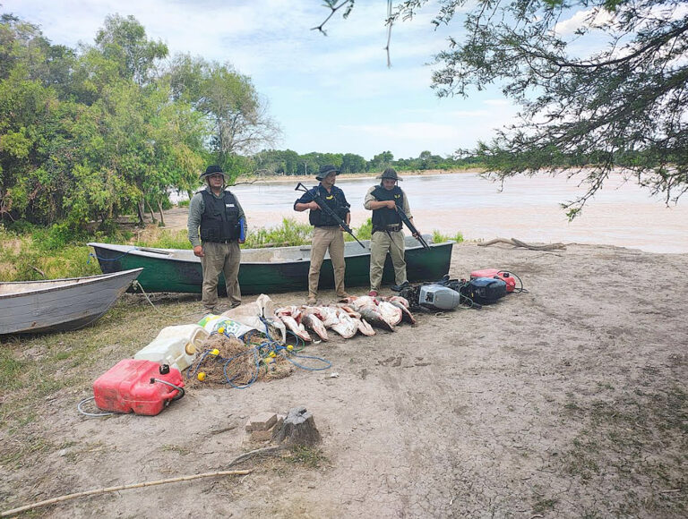 La UEAR secuestró ejemplares de surubí, embarcaciones y otros elementos