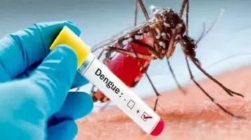Dengue: Los casos se mantuvieron sin grandes variaciones esta semana