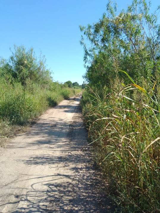 Reclamo vecinal en El Paraíso: exigen reparación del acceso en la Ruta Km 20 antes del inicio de clases