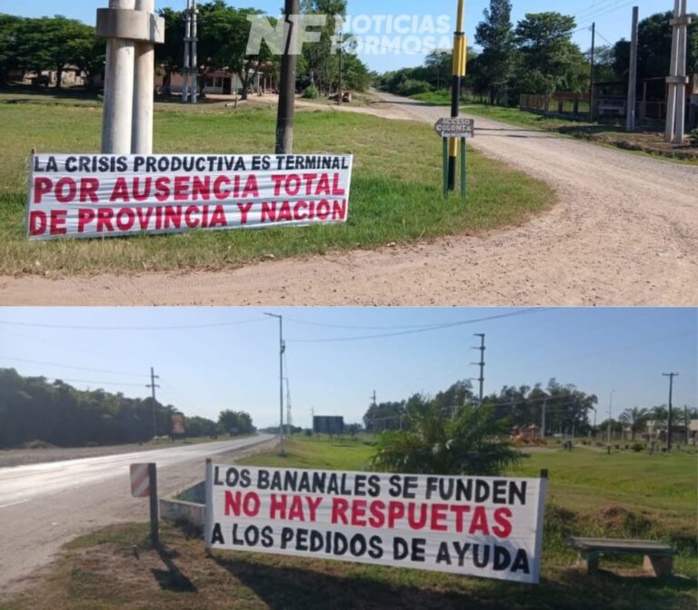Productores bananeros de Formosa activan un plan de lucha y advierten una crisis terminal