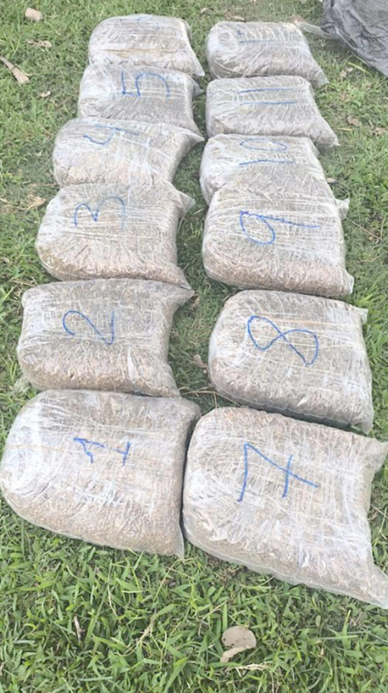 Mansilla: policías secuestraron marihuana valuada en unos 53 millones de pesos