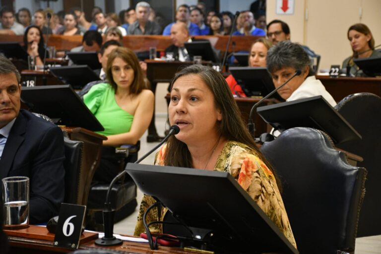 Formosa: Ana Costa Ankenbrand Exige un Giro en la Política Salarial con un Aumento del 45% y Asistencia Escolar Urgente