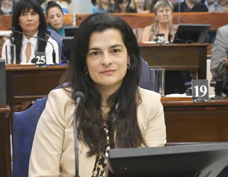 En la Legislatura no hay lugar a nada que no venga directamente de Insfrán