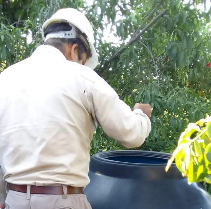 Dengue: Casos positivos sin variaciones esta semana