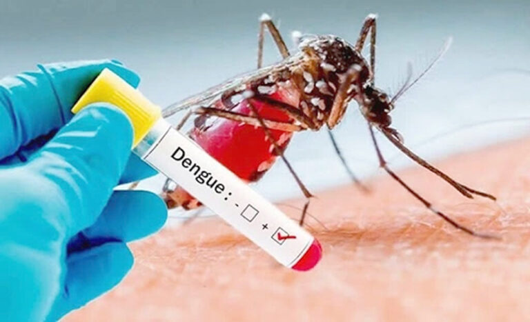 Confirman cinco nuevos casos de dengue y refuerzan medidas de prevención en Formosa