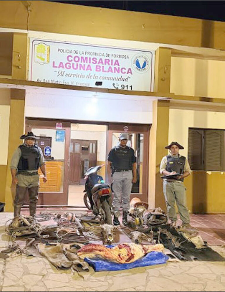 Detuvieron a un hombre y secuestraron carne vacuna