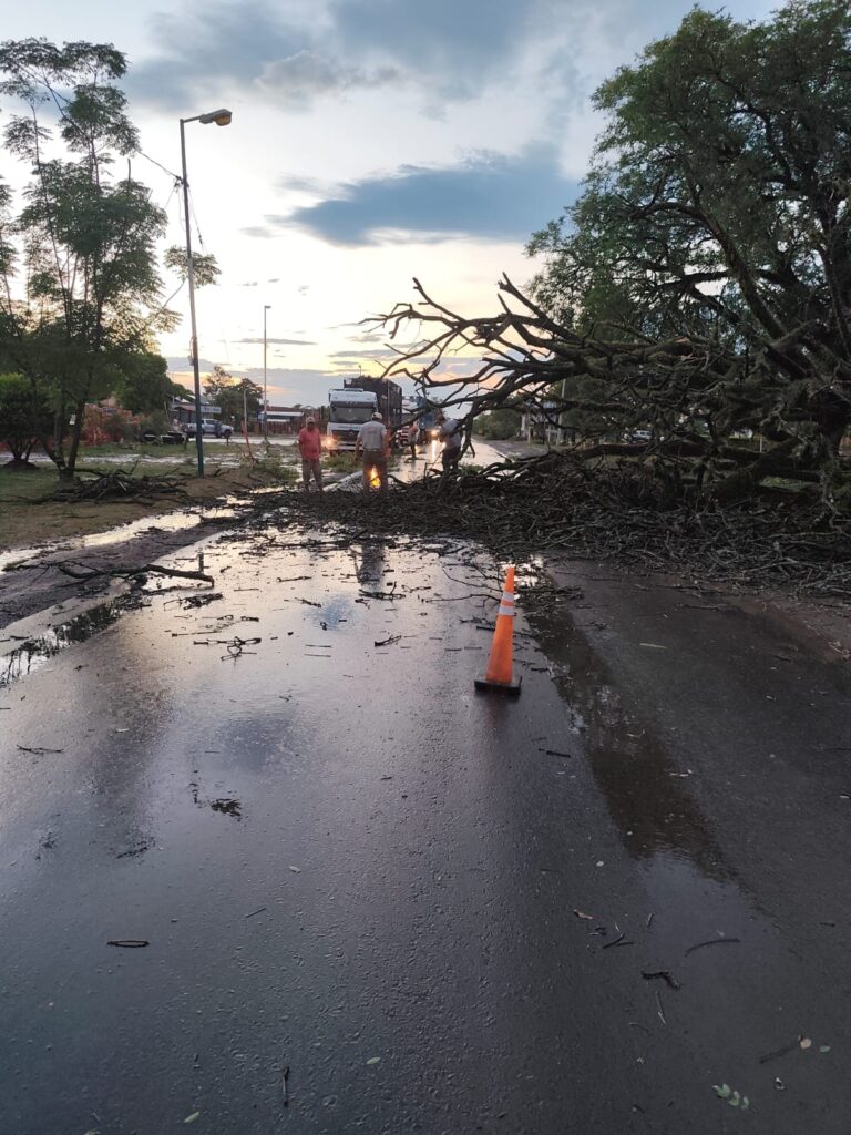Rápida intervención del Gobierno de Formosa por un fuerte temporal