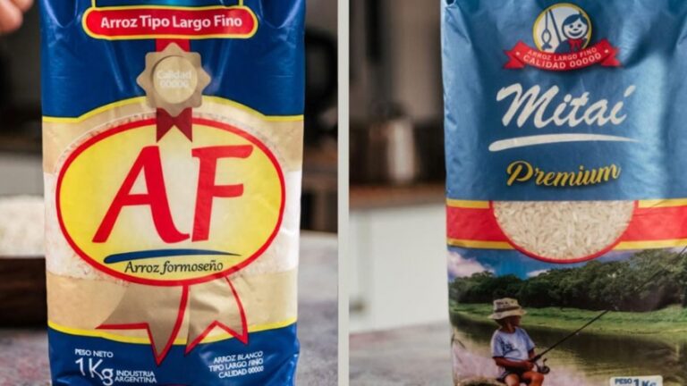 Radiografía de la Crisis y el Desafío Exportador: La Lucha del Sector Arrocero en el Norte Argentino