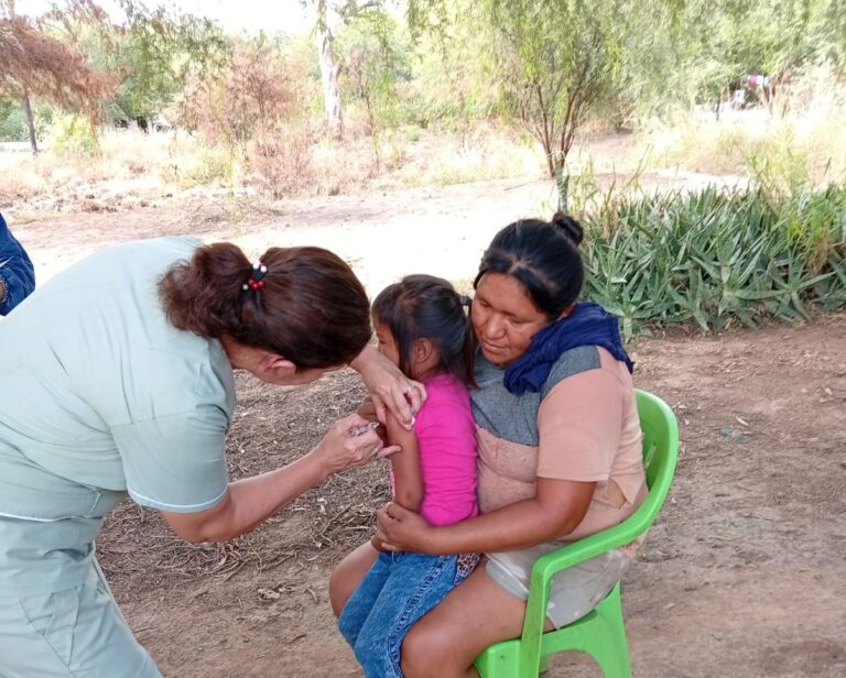 Salud:vacunación antigripal en terreno en comunidades originarias de la provincia de Formosa