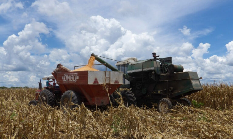 Exportaciones récord en el país, pero Formosa casi no participa