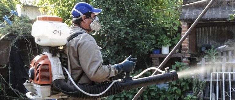 Esta semana se registró un importante descenso de los casos de dengue en la provincia