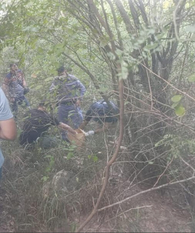 La Policía investiga el hallazgo de restos óseos humanos en el barrio Toba