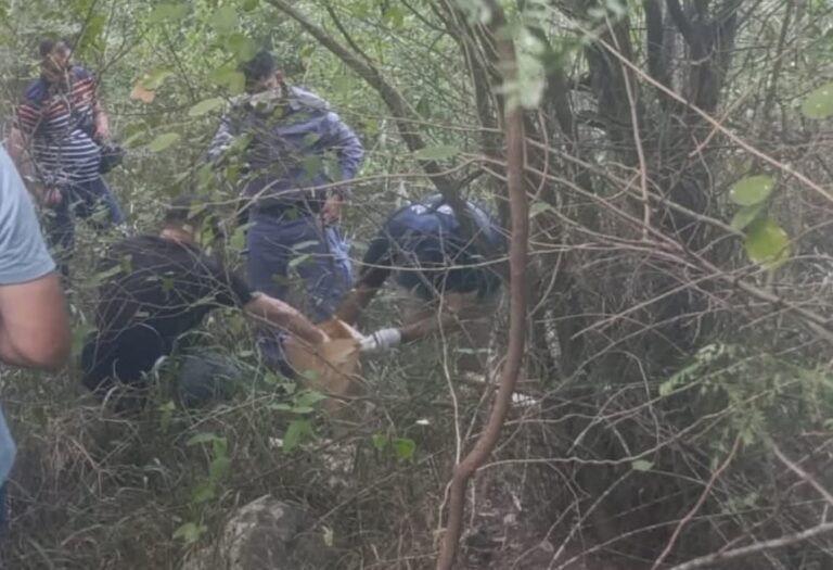 Macabro: hallaron restos óseos humanos en una zona descampada de Clorinda