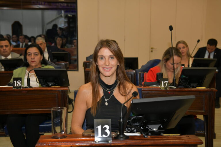 Formosa: La oposición presiona por subsidios ante el impacto de las tarifas