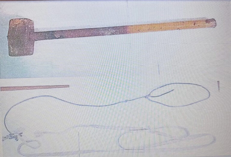 Qué descubrió la Justicia en el caso del chico atado por su madre en La Matanza