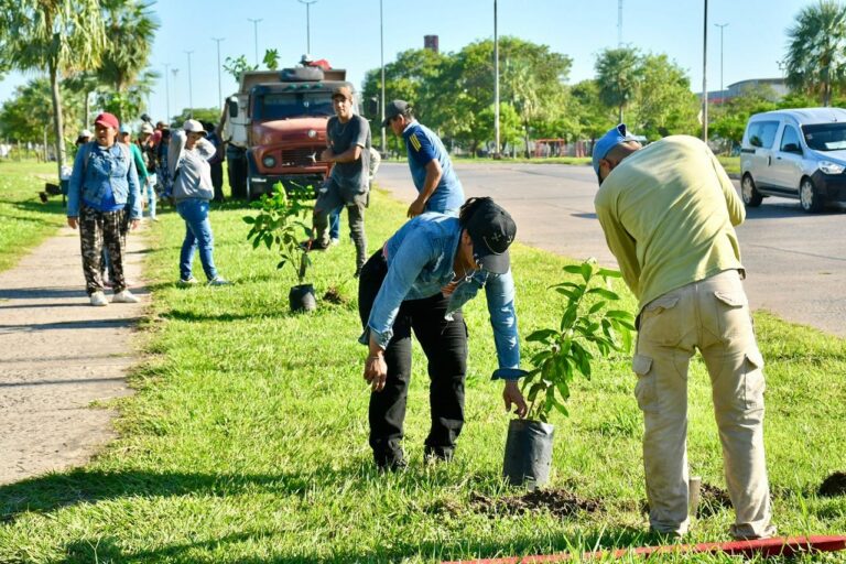 La Municipalidad inició un ciclo de plantación de árboles por el día internacional de los bosques