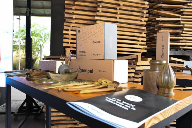 Amplias expectativas del sector maderero por el proyecto del Centro Tecnológico FABLAB de Pirané