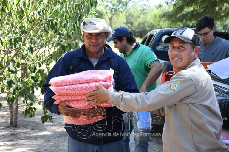 A diferencia de Nación, Formosa implementa políticas que apuntan a fortalecer al pequeño productor paippero