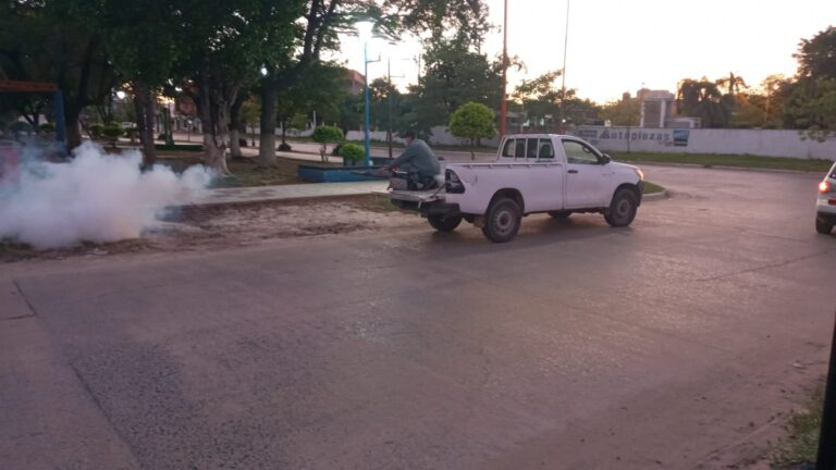 En Clorinda refuerzan la prevención contra el dengue ante la invasión de mosquitos causada por las lluvias y la crecida del río