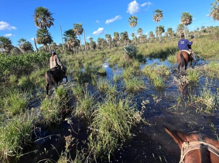 Hallaron sin vida a un hombre tras un operativo de búsqueda en colonia La Unión