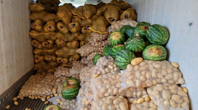 Corrientes: Detectan más de 20 toneladas de frutas con documentación irregular y riesgo sanitario