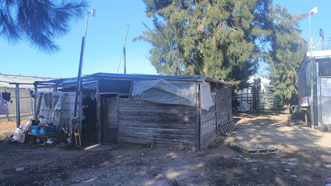 Viviendas precarias de madera y chapa en un predio rural de La Plata allanado por explotación laboral