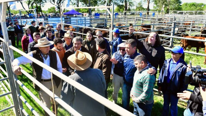 Feria Ganadera Paippera en Misión Laishí con productores y autoridades