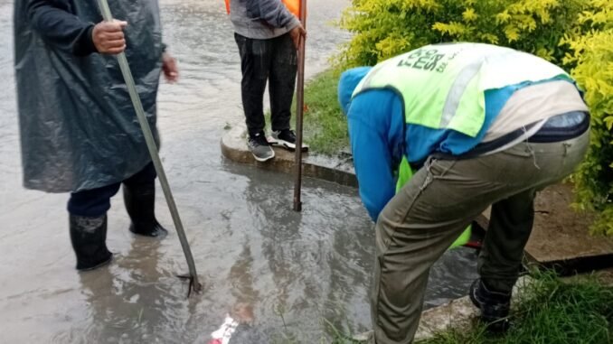Personal municipal realizando tareas preventivas durante lluvias en Formosa