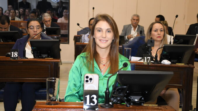 Vista del recinto de la Cámara de Diputados de Formosa durante una sesión